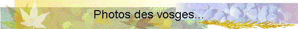 Photos des vosges...