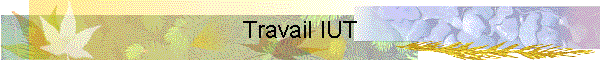 Travail IUT